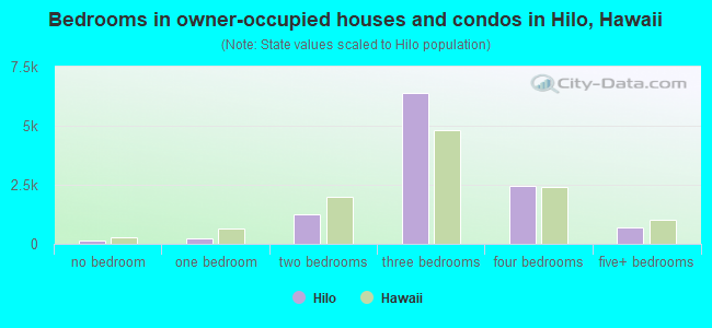 Bedrooms in owner-occupied houses and condos in Hilo, Hawaii