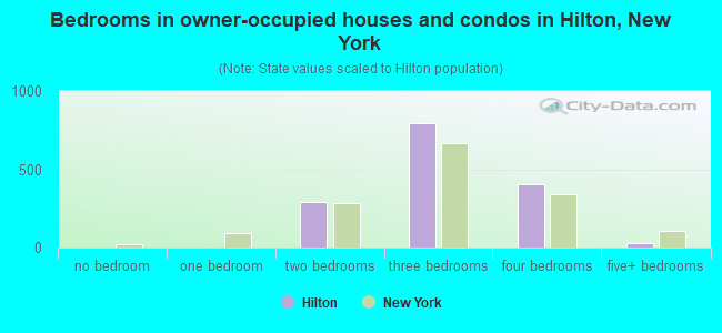 Bedrooms in owner-occupied houses and condos in Hilton, New York