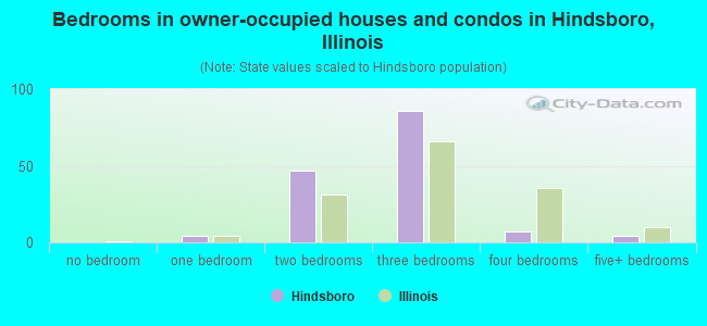 Bedrooms in owner-occupied houses and condos in Hindsboro, Illinois