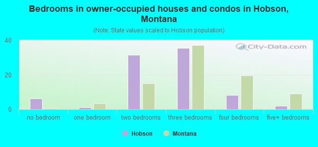 Bedrooms in owner-occupied houses and condos in Hobson, Montana