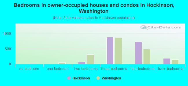 Bedrooms in owner-occupied houses and condos in Hockinson, Washington