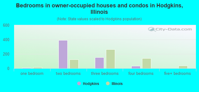 Bedrooms in owner-occupied houses and condos in Hodgkins, Illinois
