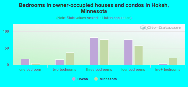 Bedrooms in owner-occupied houses and condos in Hokah, Minnesota