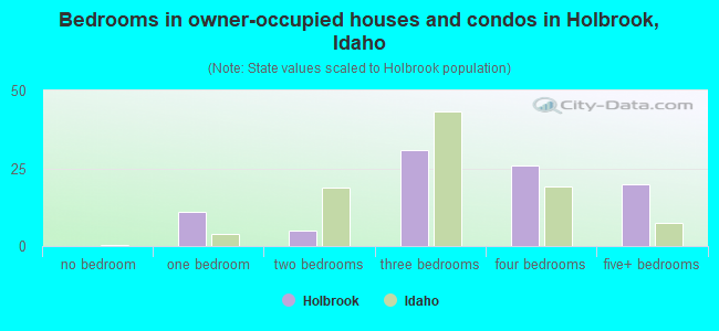 Bedrooms in owner-occupied houses and condos in Holbrook, Idaho