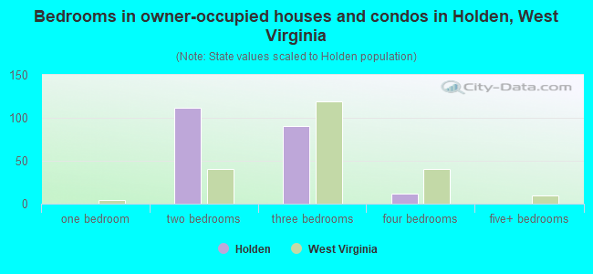 Bedrooms in owner-occupied houses and condos in Holden, West Virginia