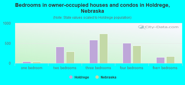 Bedrooms in owner-occupied houses and condos in Holdrege, Nebraska