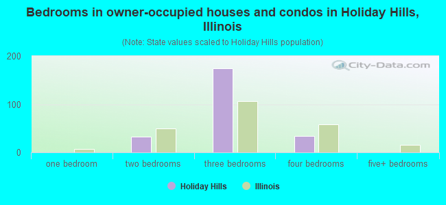 Bedrooms in owner-occupied houses and condos in Holiday Hills, Illinois