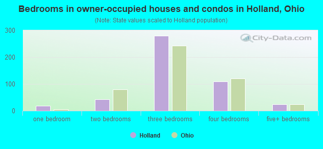 Bedrooms in owner-occupied houses and condos in Holland, Ohio