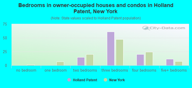 Bedrooms in owner-occupied houses and condos in Holland Patent, New York