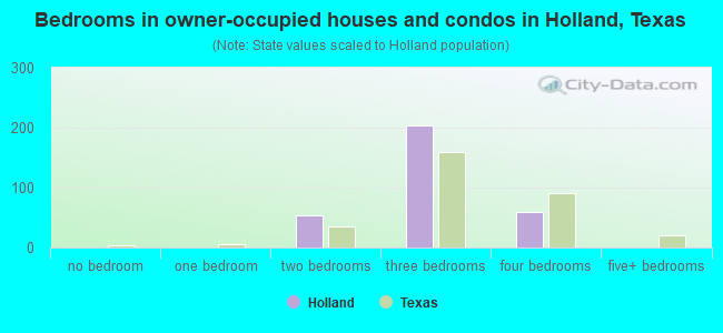 Bedrooms in owner-occupied houses and condos in Holland, Texas