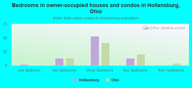 Bedrooms in owner-occupied houses and condos in Hollansburg, Ohio