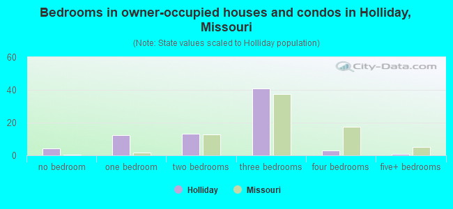 Bedrooms in owner-occupied houses and condos in Holliday, Missouri