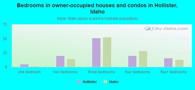 Bedrooms in owner-occupied houses and condos in Hollister, Idaho