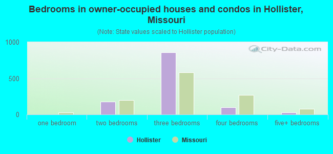 Bedrooms in owner-occupied houses and condos in Hollister, Missouri