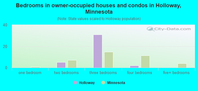 Bedrooms in owner-occupied houses and condos in Holloway, Minnesota