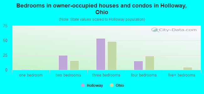 Bedrooms in owner-occupied houses and condos in Holloway, Ohio