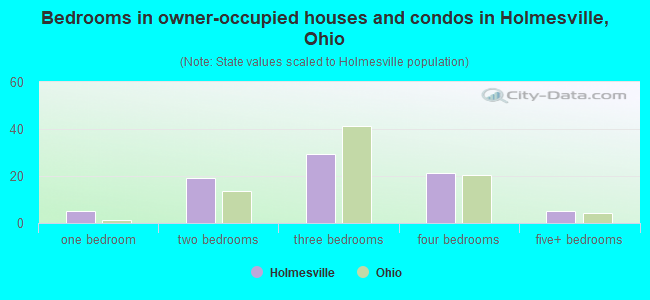 Bedrooms in owner-occupied houses and condos in Holmesville, Ohio