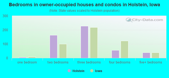 Bedrooms in owner-occupied houses and condos in Holstein, Iowa