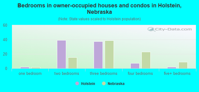 Bedrooms in owner-occupied houses and condos in Holstein, Nebraska