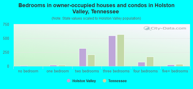 Bedrooms in owner-occupied houses and condos in Holston Valley, Tennessee