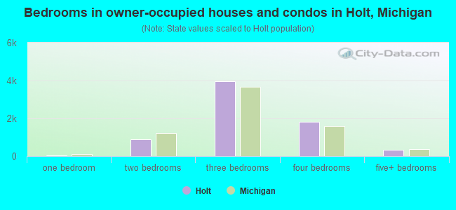 Bedrooms in owner-occupied houses and condos in Holt, Michigan