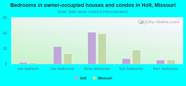 Bedrooms in owner-occupied houses and condos in Holt, Missouri