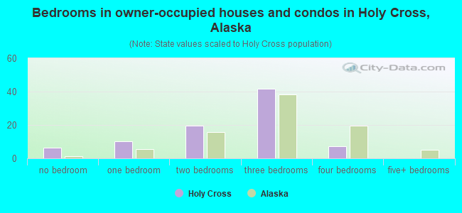 Bedrooms in owner-occupied houses and condos in Holy Cross, Alaska