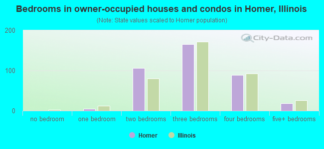 Bedrooms in owner-occupied houses and condos in Homer, Illinois