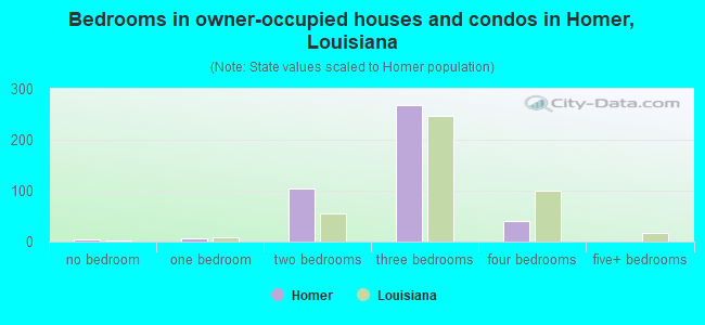 Bedrooms in owner-occupied houses and condos in Homer, Louisiana