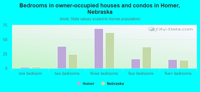 Bedrooms in owner-occupied houses and condos in Homer, Nebraska