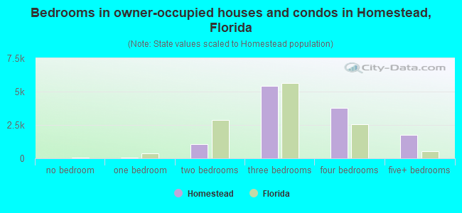 Bedrooms in owner-occupied houses and condos in Homestead, Florida
