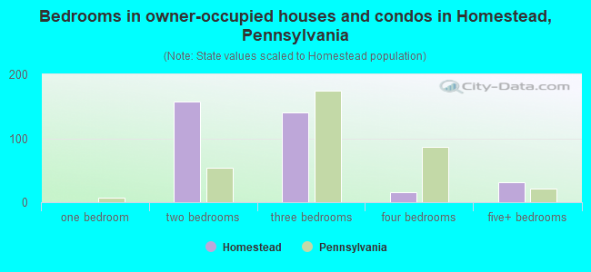 Bedrooms in owner-occupied houses and condos in Homestead, Pennsylvania