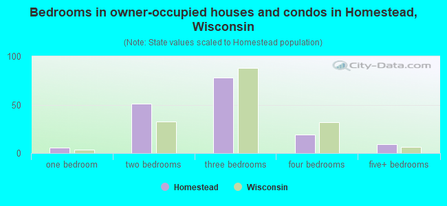 Bedrooms in owner-occupied houses and condos in Homestead, Wisconsin
