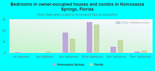 Bedrooms in owner-occupied houses and condos in Homosassa Springs, Florida
