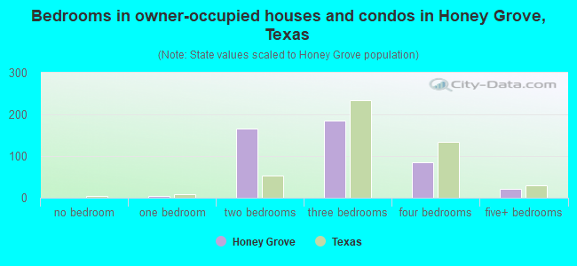 Bedrooms in owner-occupied houses and condos in Honey Grove, Texas