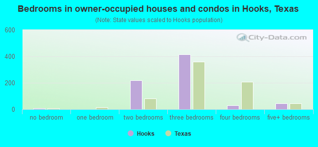Bedrooms in owner-occupied houses and condos in Hooks, Texas