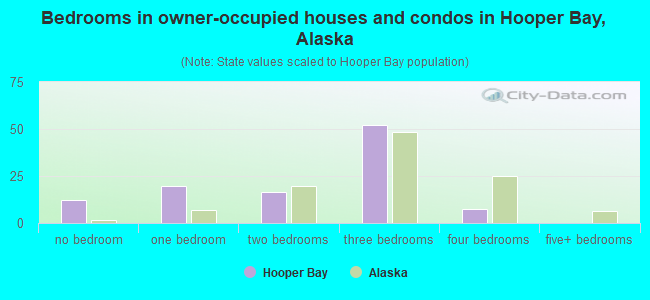 Bedrooms in owner-occupied houses and condos in Hooper Bay, Alaska