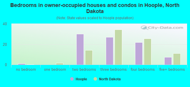 Bedrooms in owner-occupied houses and condos in Hoople, North Dakota