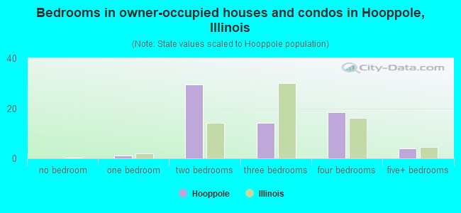 Bedrooms in owner-occupied houses and condos in Hooppole, Illinois