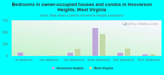 Bedrooms in owner-occupied houses and condos in Hooverson Heights, West Virginia