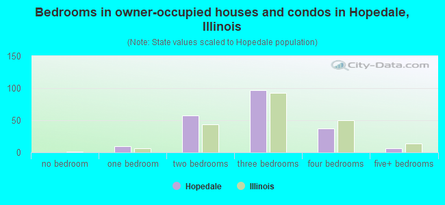 Bedrooms in owner-occupied houses and condos in Hopedale, Illinois