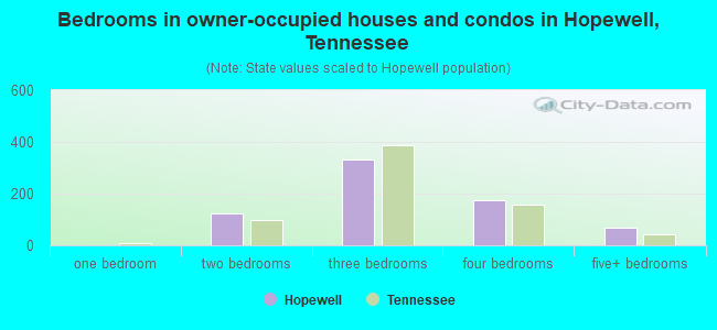 Bedrooms in owner-occupied houses and condos in Hopewell, Tennessee