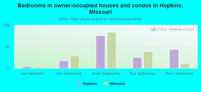 Bedrooms in owner-occupied houses and condos in Hopkins, Missouri