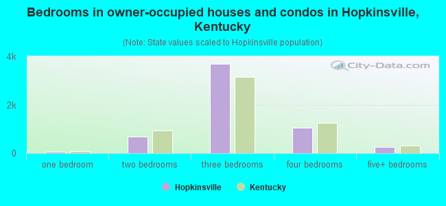 Bedrooms in owner-occupied houses and condos in Hopkinsville, Kentucky
