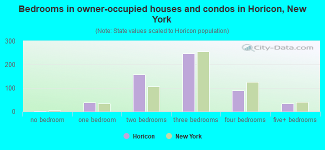 Bedrooms in owner-occupied houses and condos in Horicon, New York