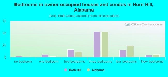 Bedrooms in owner-occupied houses and condos in Horn Hill, Alabama