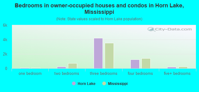 Bedrooms in owner-occupied houses and condos in Horn Lake, Mississippi