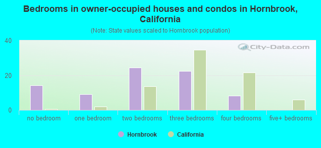 Bedrooms in owner-occupied houses and condos in Hornbrook, California