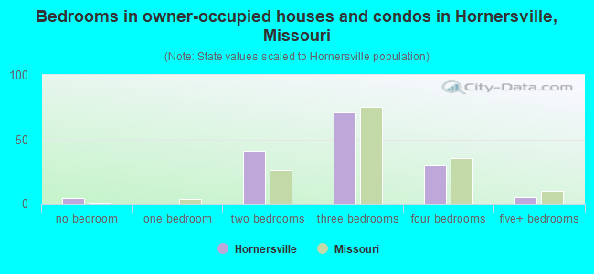 Bedrooms in owner-occupied houses and condos in Hornersville, Missouri