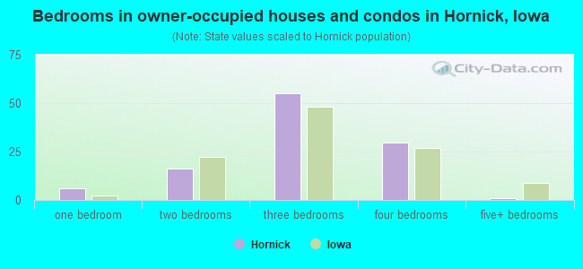 Bedrooms in owner-occupied houses and condos in Hornick, Iowa